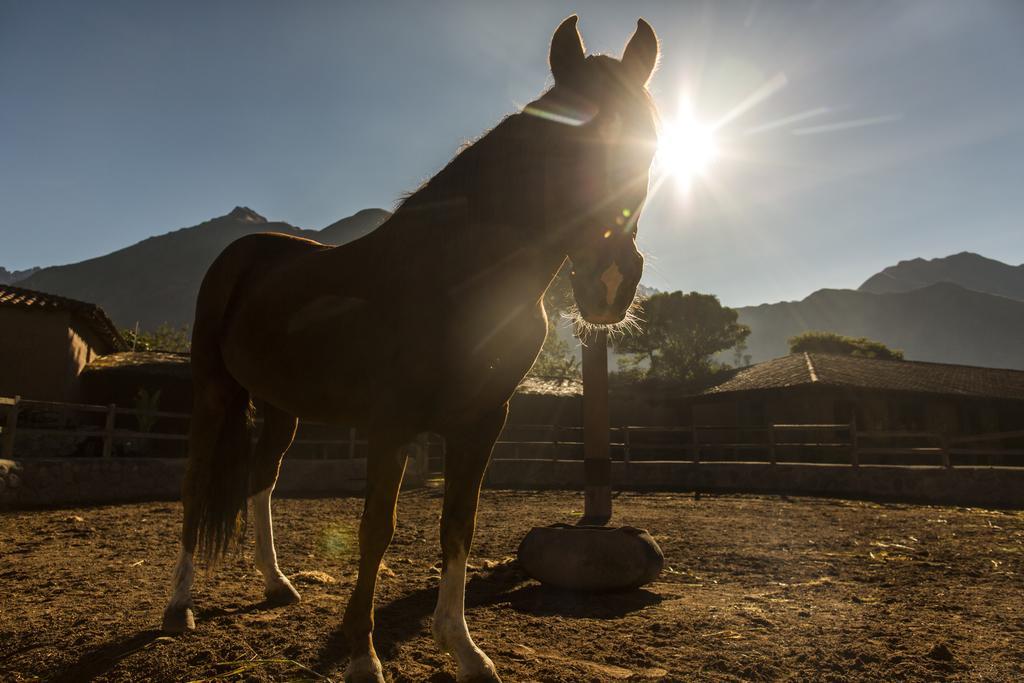 Sol Y Luna - Relais & Chateaux Sacred Valley エクステリア 写真