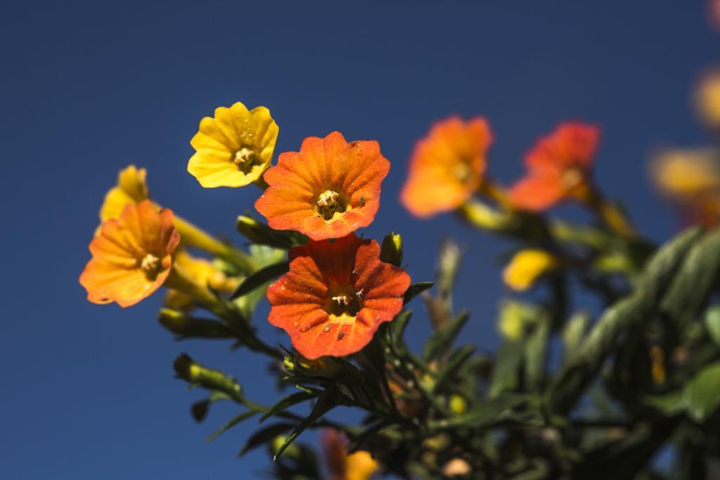 Sol Y Luna - Relais & Chateaux Sacred Valley エクステリア 写真